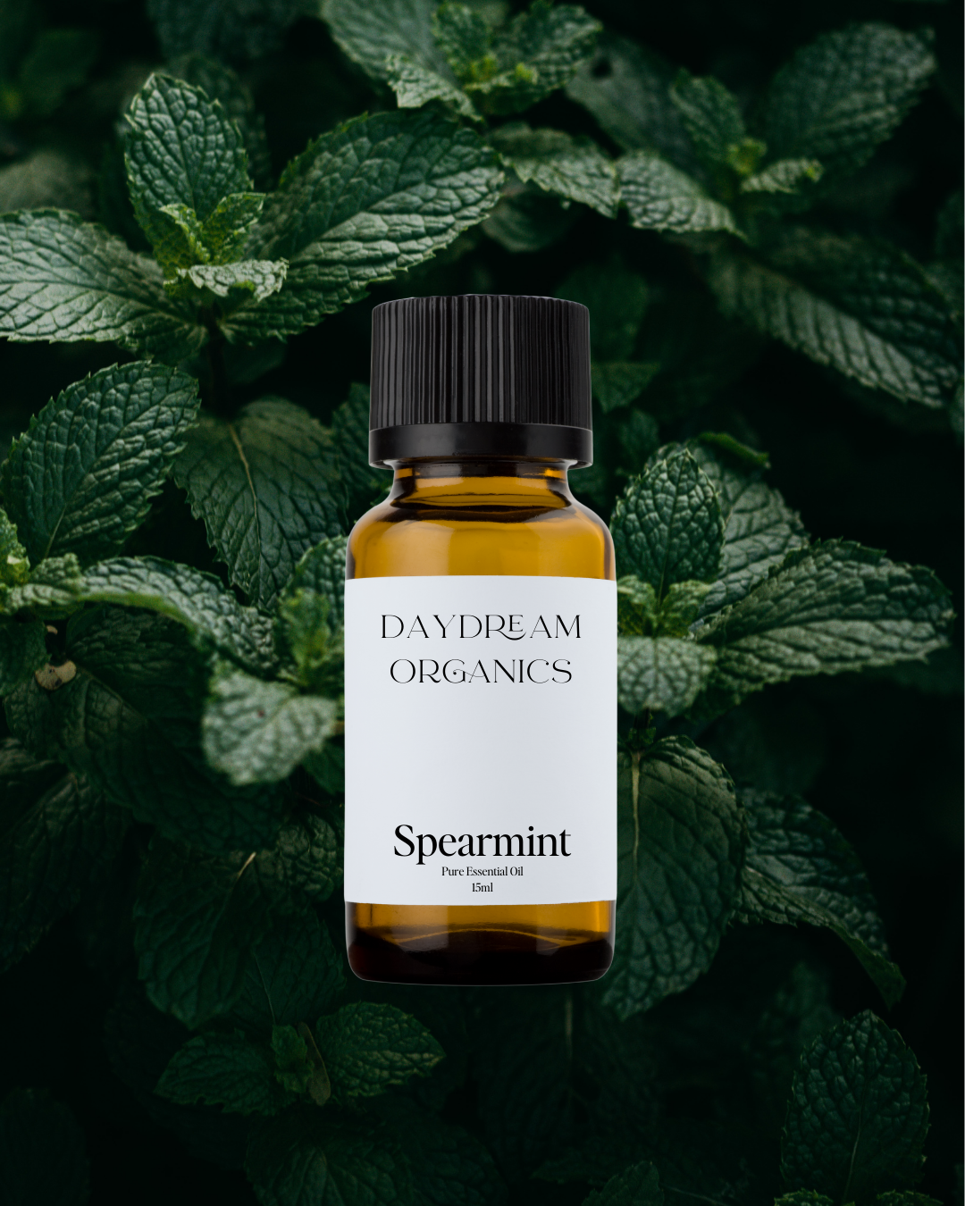 Spearmint Essential Oil