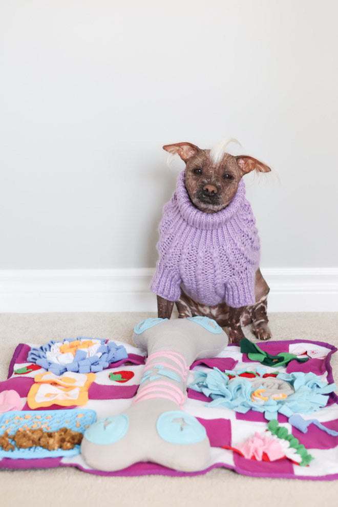 Tapis à renifler couineur pour chiens – Jeu interactif de recherche de nourriture, 61 cm