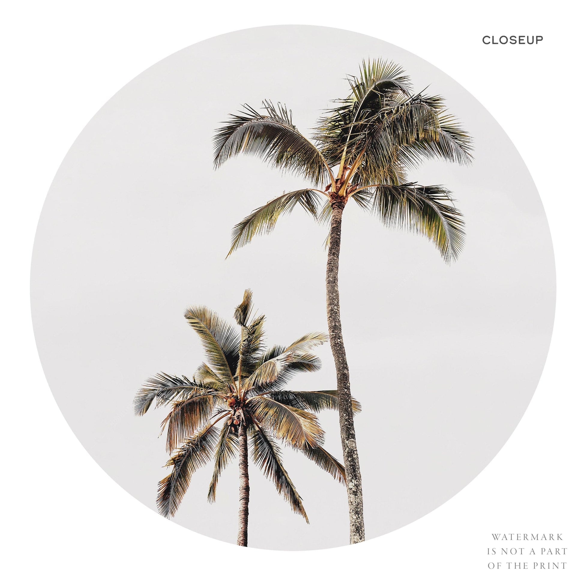 Coastal Beach Photography Set of 3 Prints – Surf Palm Tree Wall Art