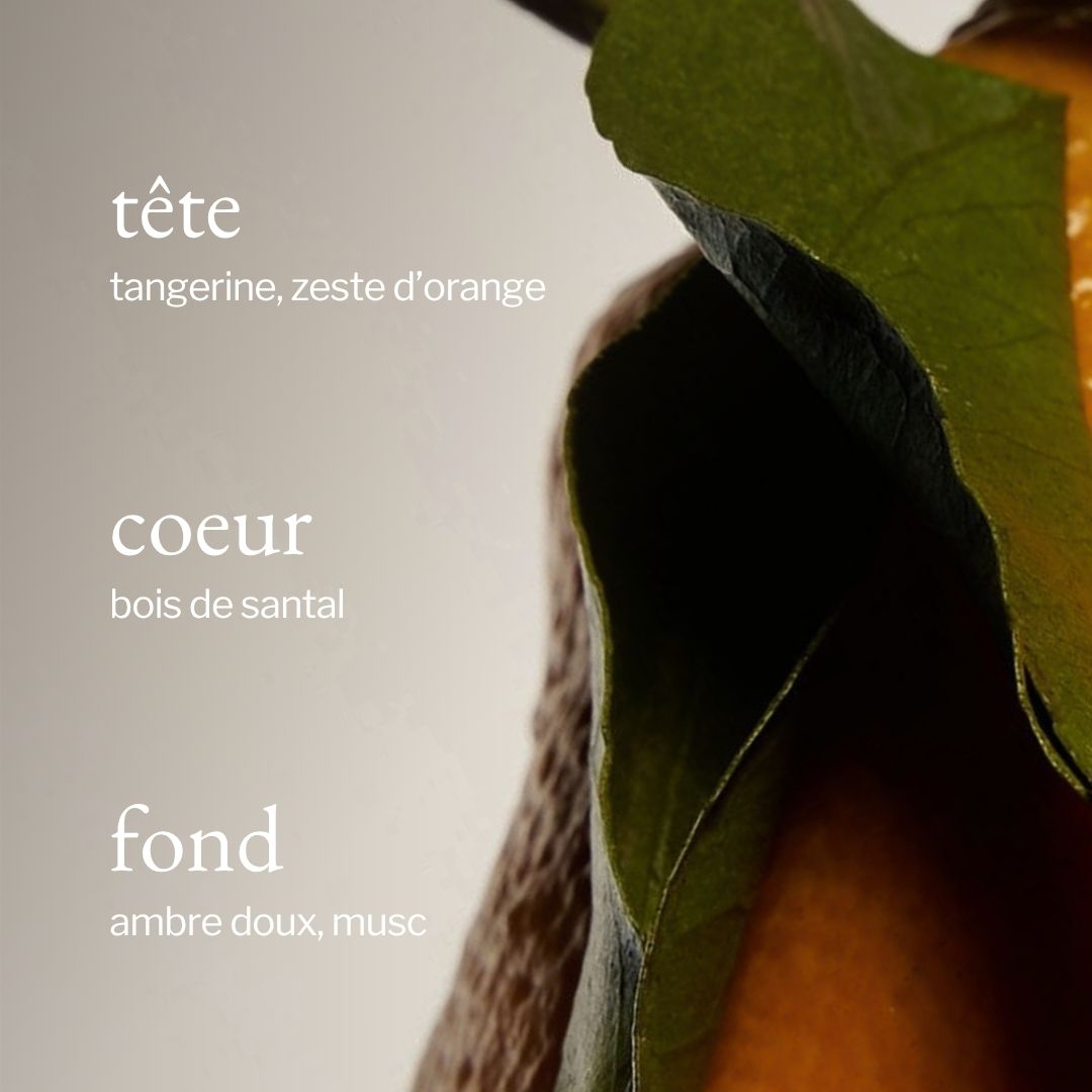 Reed Diffuser | Tangerine, Sandalwood & Amber
