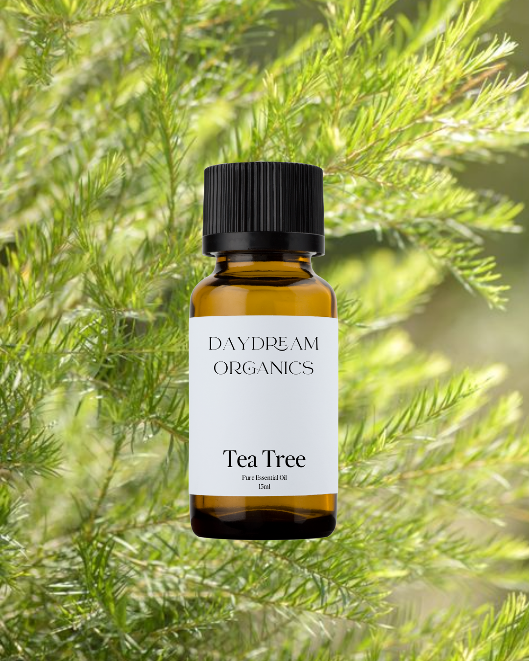 Tea Tree (Australia) Essential Oil