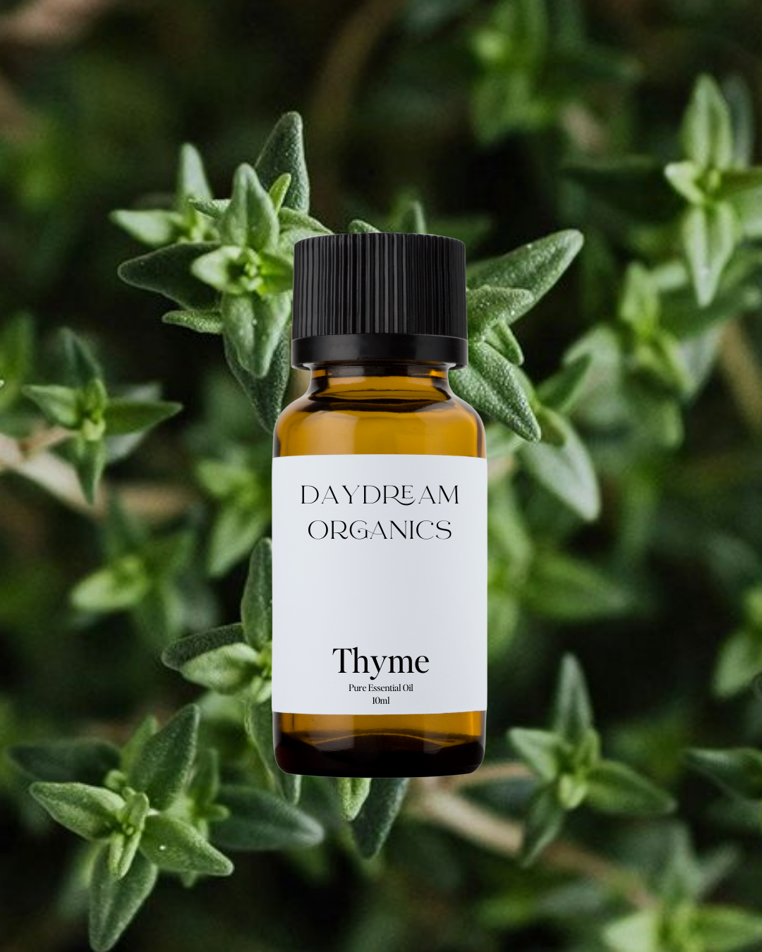Thyme Essential Oil