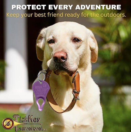 Tick Key - Tick Removal Device