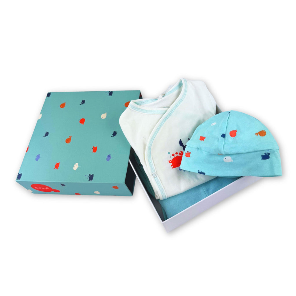 Surprise Baby Gift - Boy