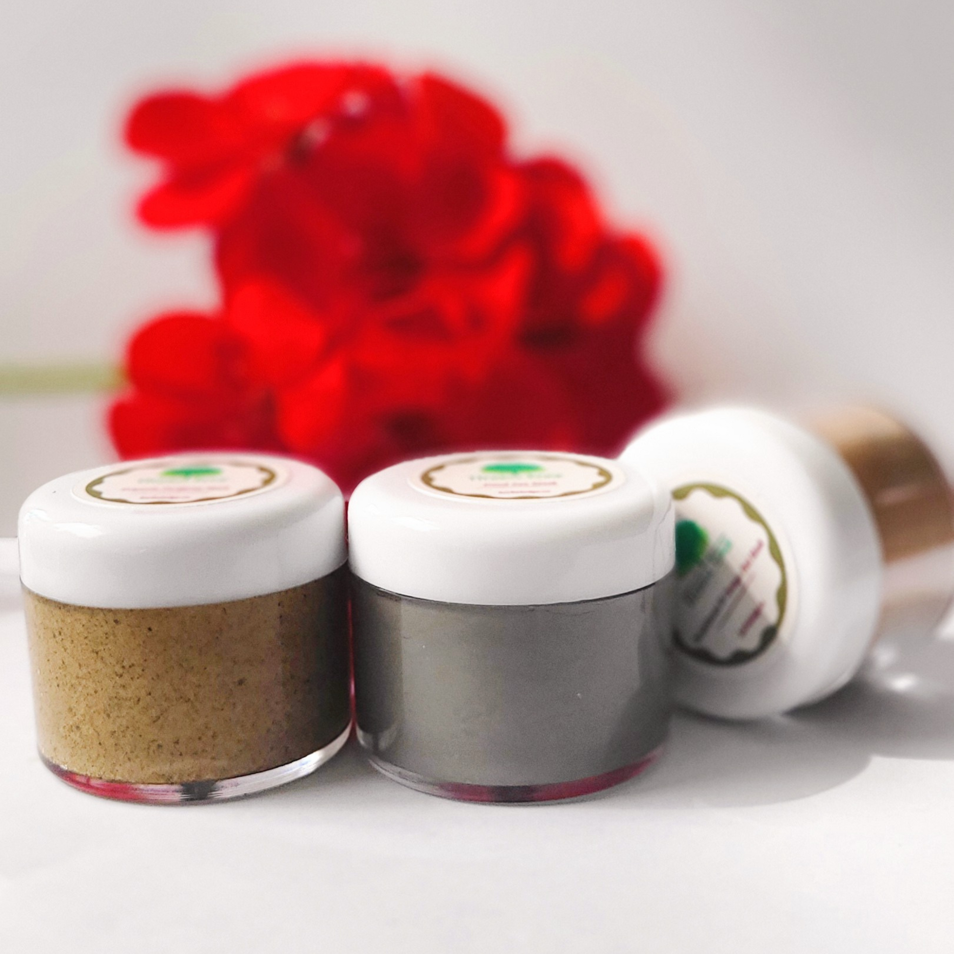 Combo Masque Visage (minis)