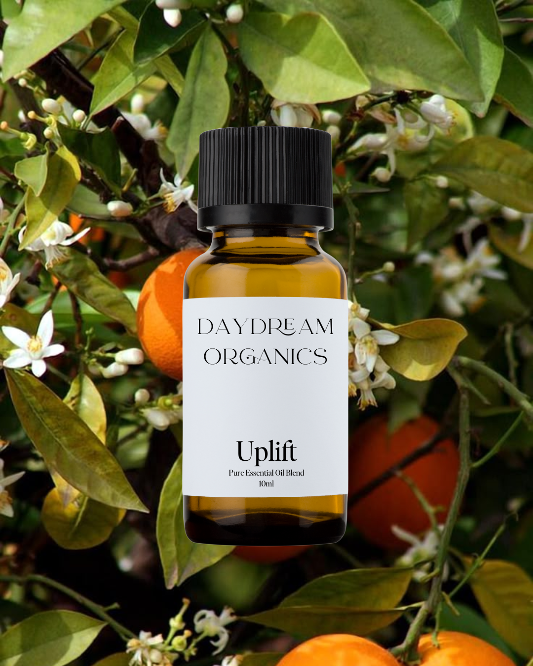 Uplift Essential Oil Blend