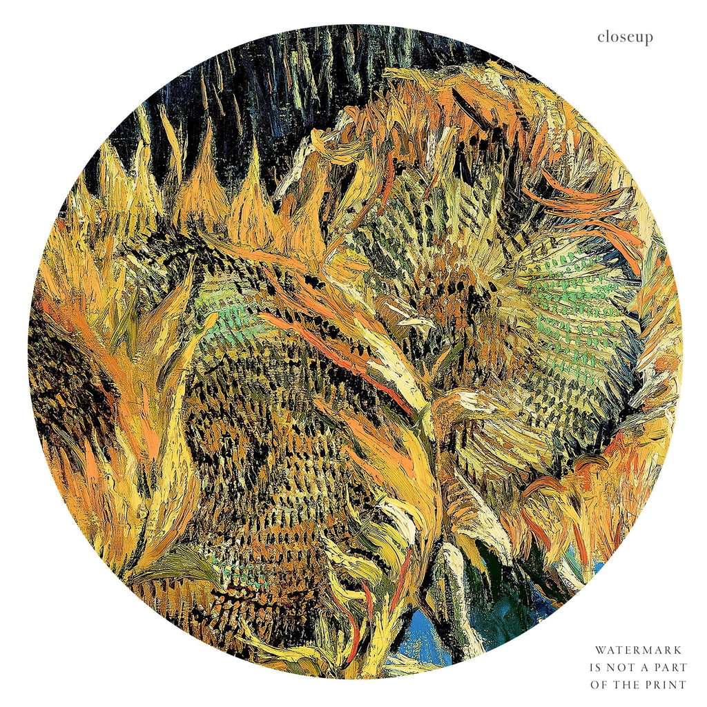 Van Gogh Four Sunflowers Gone to Seed Art Print – Famous Painting Wall Art