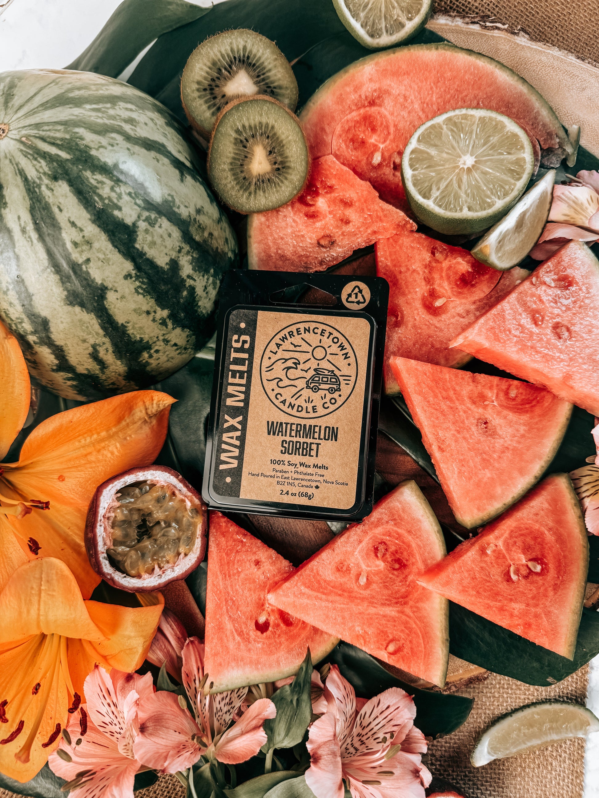 WATERMELON SORBET WAX MELTS