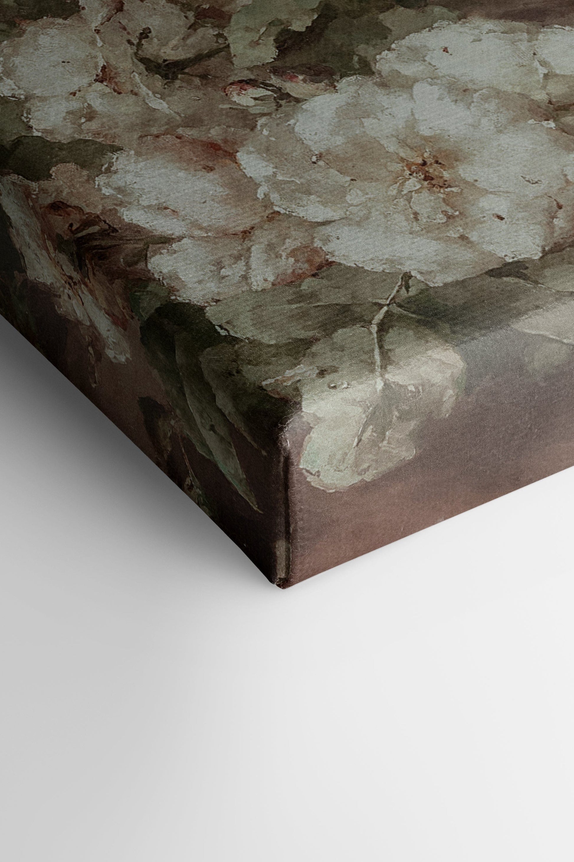WHITE PEONY, Stretched Canvas Artwork