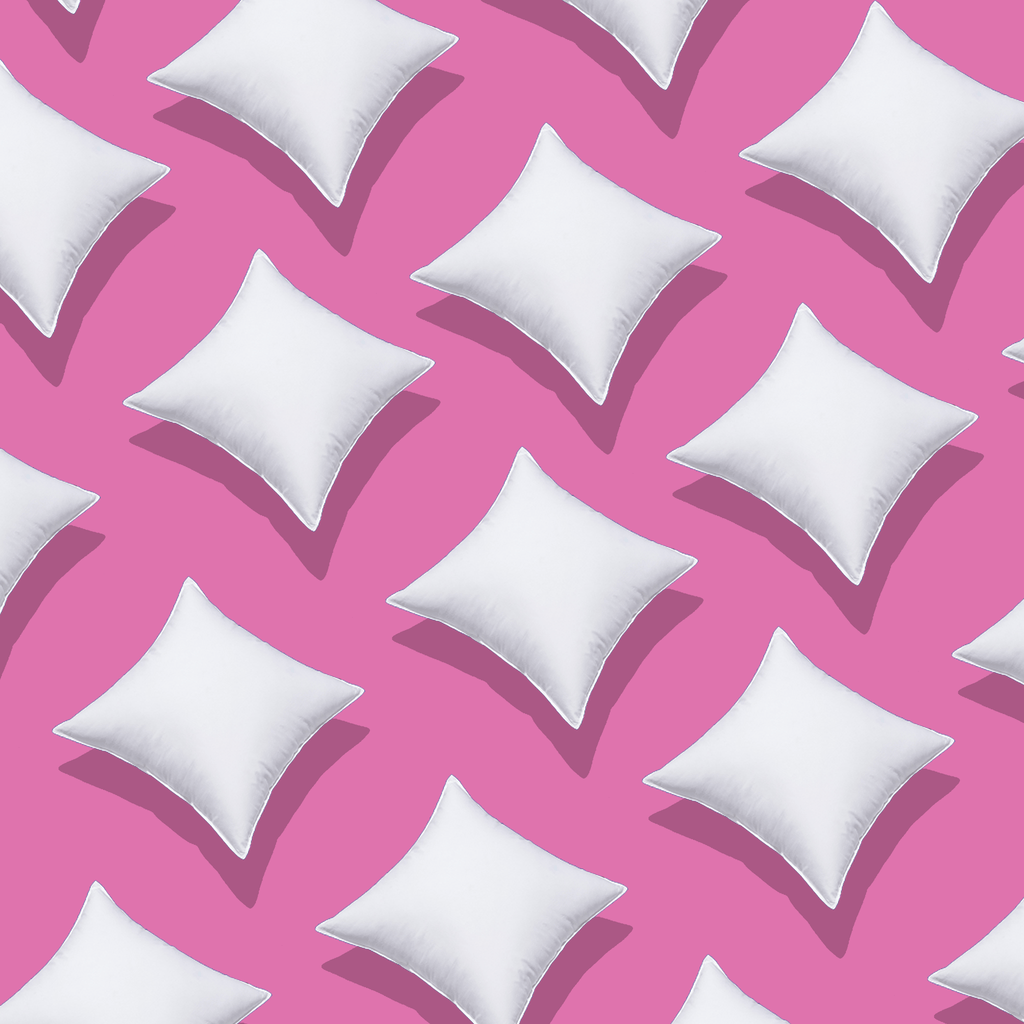 Coussins en duvet blanc
