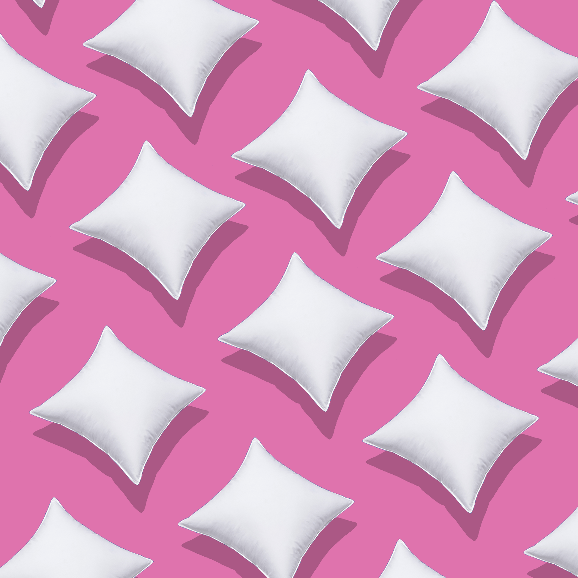 Coussins en duvet blanc