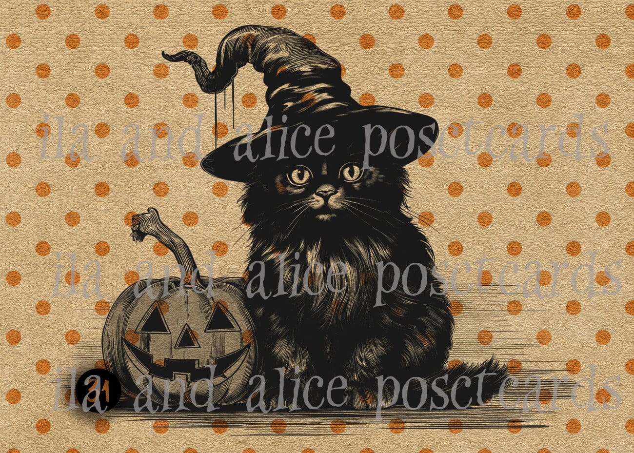 Black Cats and Orange Polka Dots Halloween Postcards