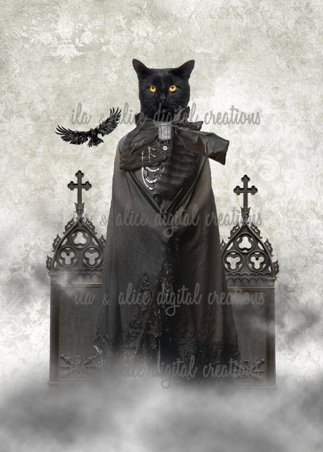 Spooky Black Cats