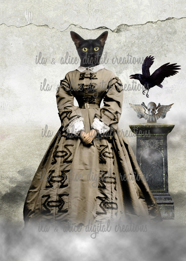 Spooky Black Cats