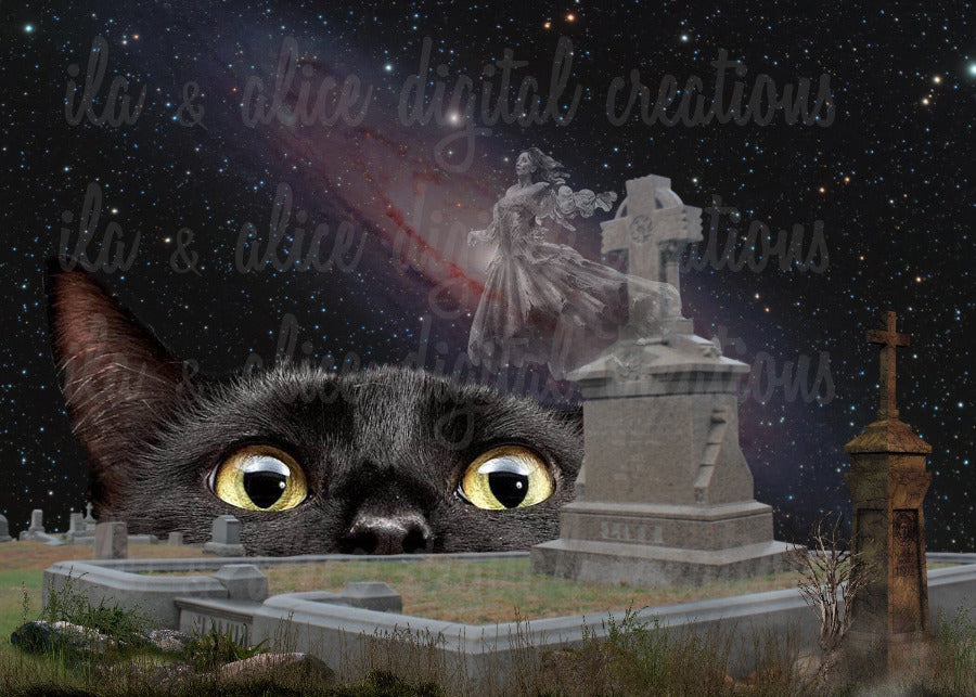 Haunted Halloween Collage Art Postcards