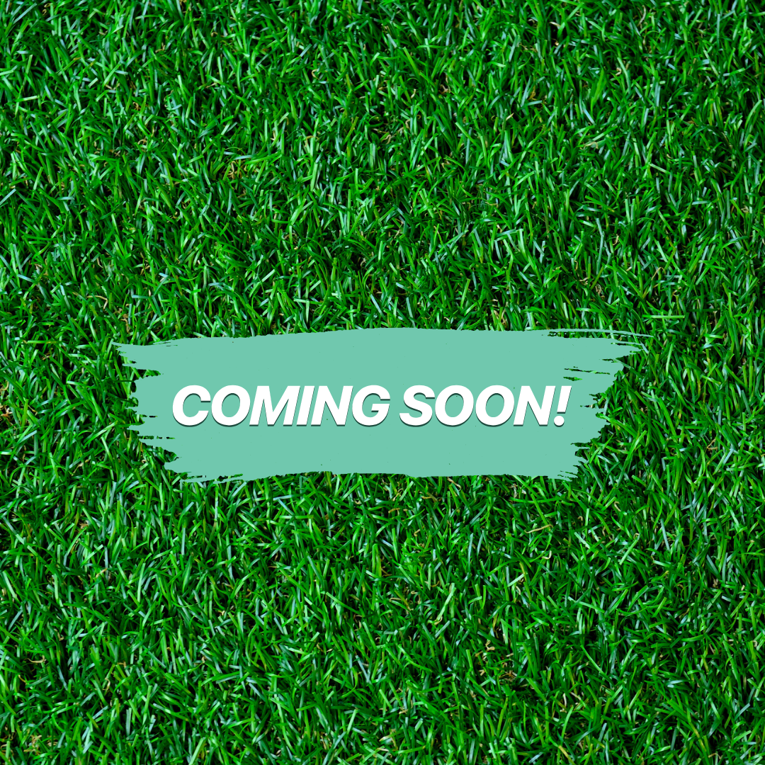 Blaireau en bambou et sanglier