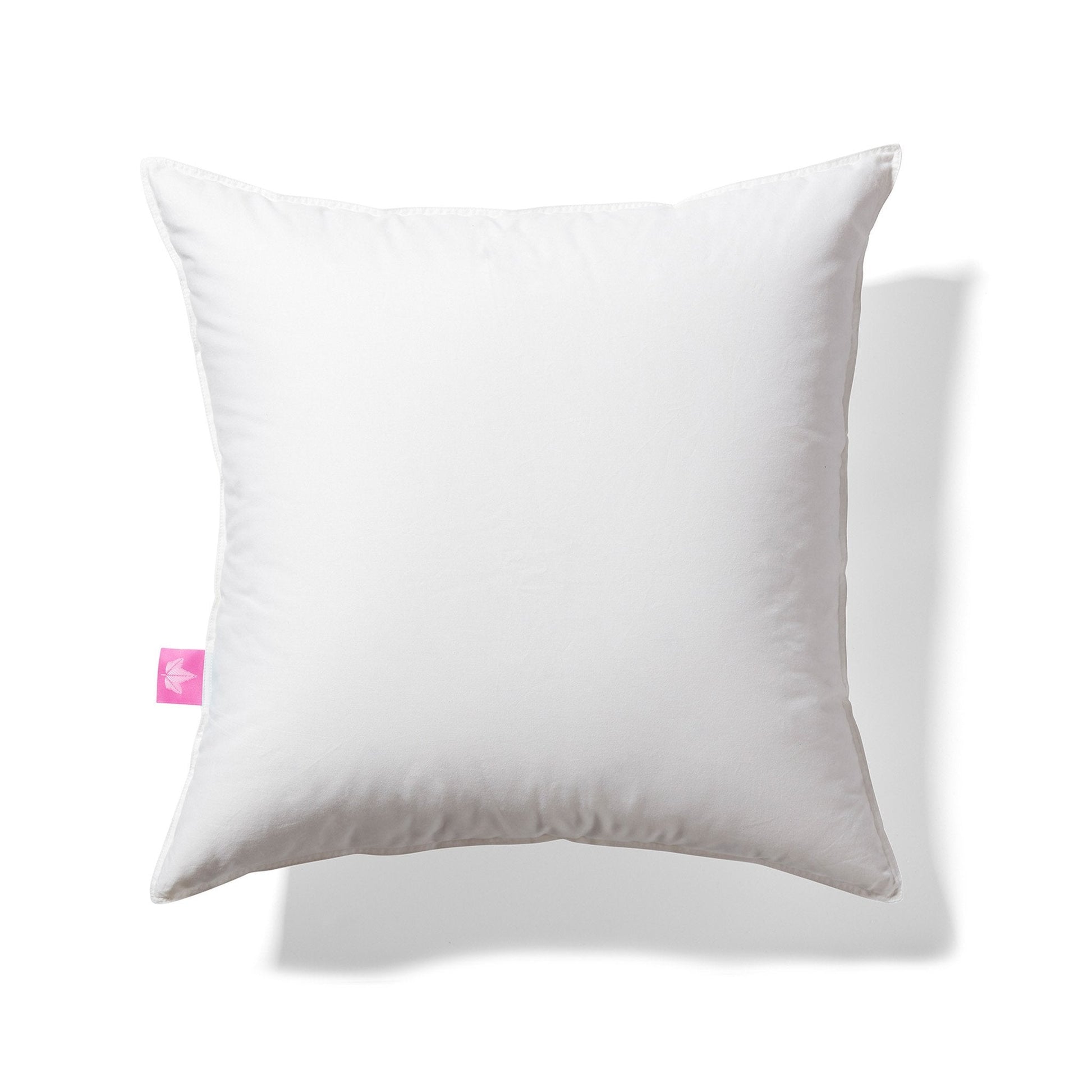 Coussins en duvet blanc