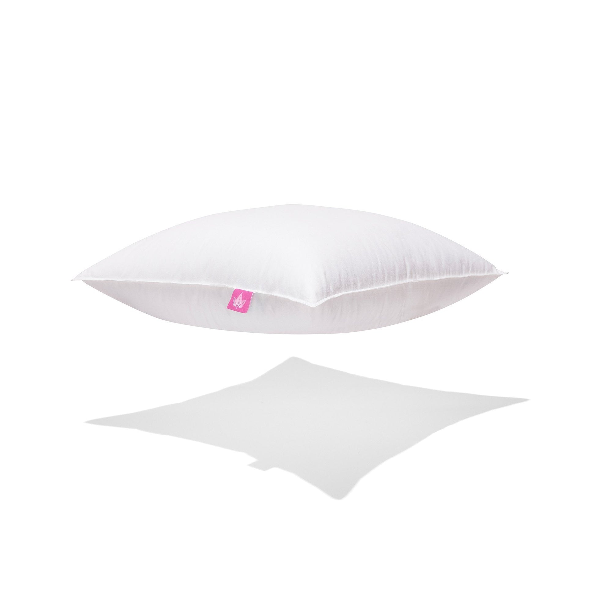 Coussins en duvet blanc