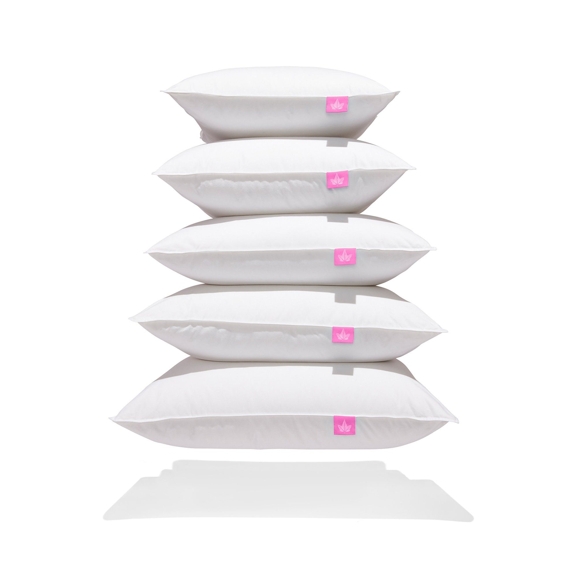 Coussins en duvet blanc