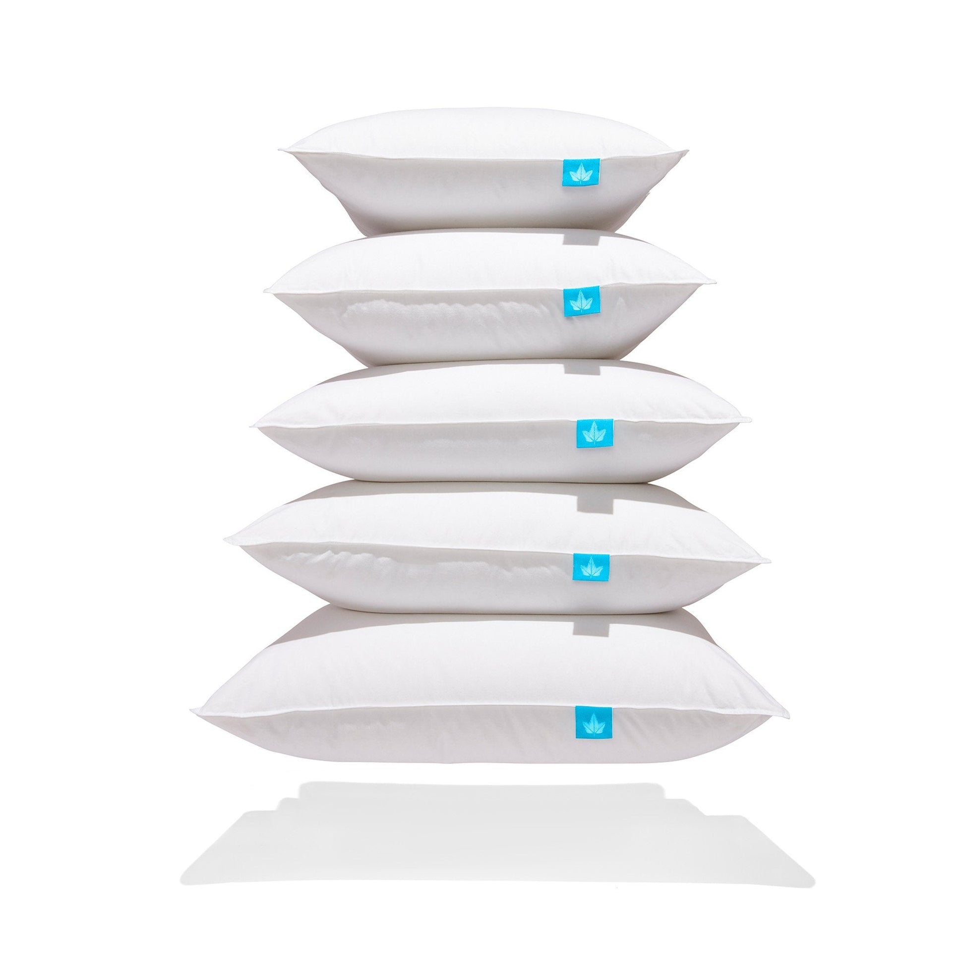 Coussins en duvet d'oie blanche