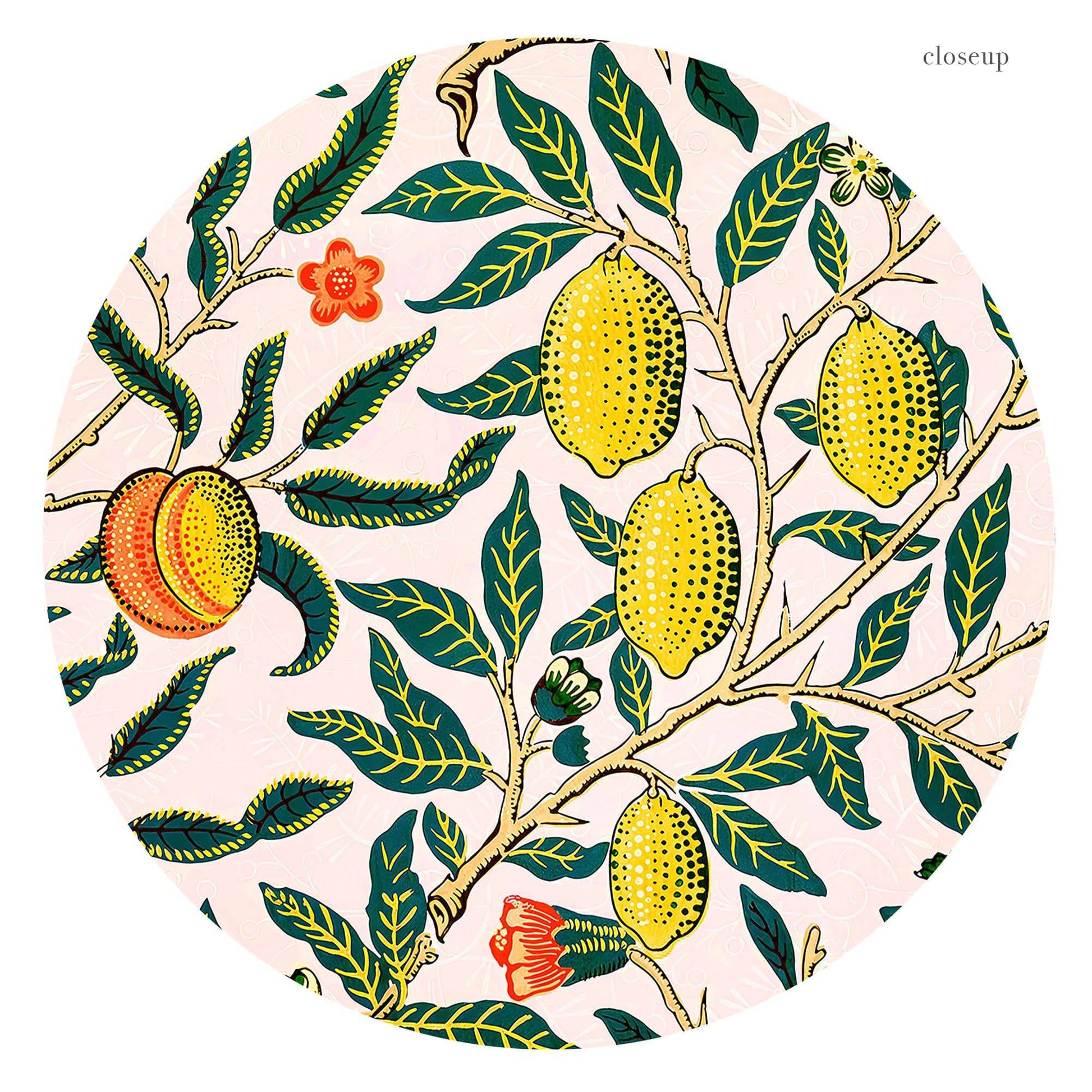William Morris Fruit or Pomegranate Art Print – Botanical Wall Decor