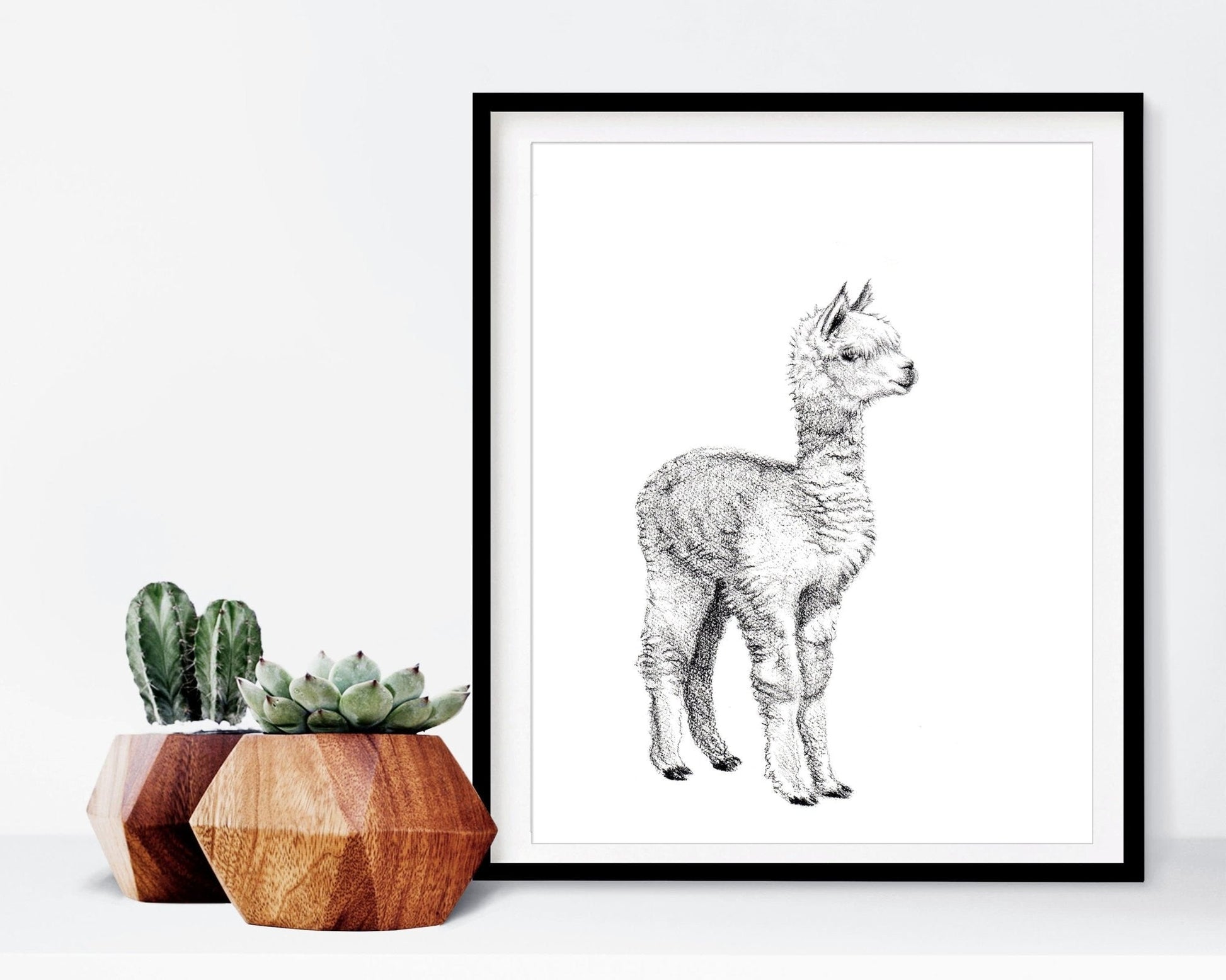 Adorable  alpaca - art print