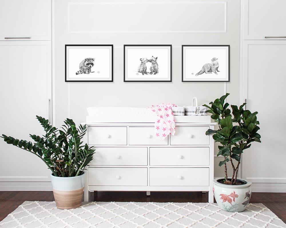 Adorable Baby Raccoon - Black and White Nursery Wildlife Art Print