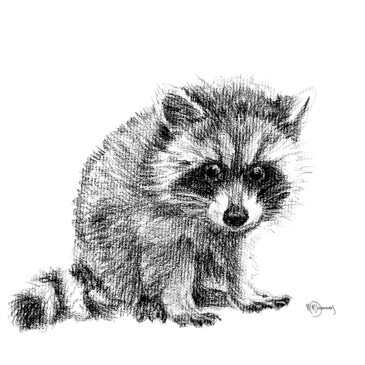 Adorable Baby Raccoon - Black and White Nursery Wildlife Art Print