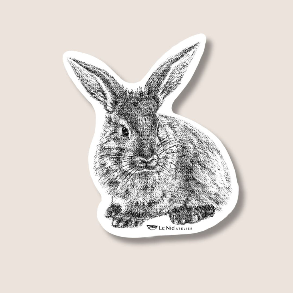 Adorable Bunny Stickers for Water Bottle, Agenda or Computer