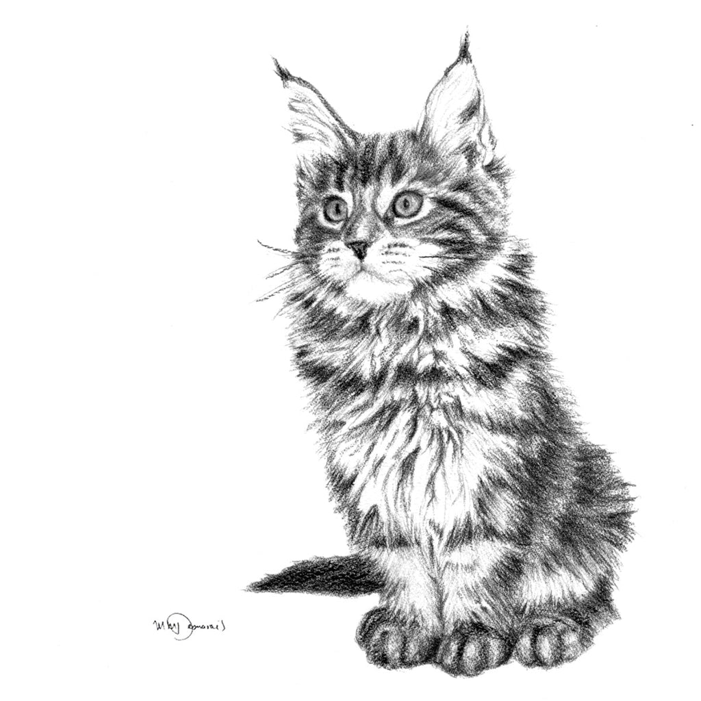 Adorable Cat - greeting card