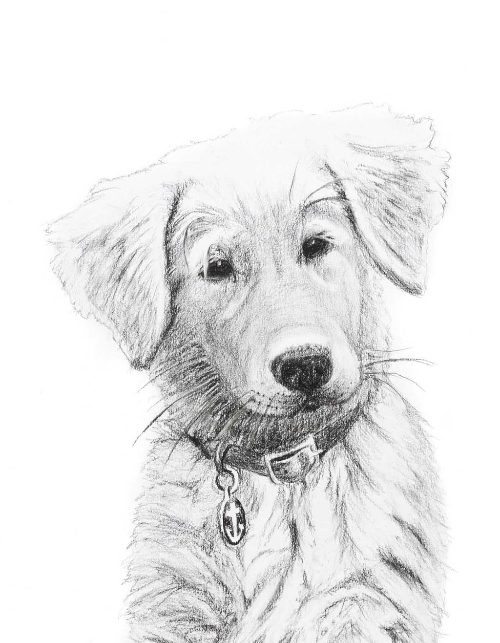 Dog - Baby Golden Retriever - Black and White Nursery Art Print