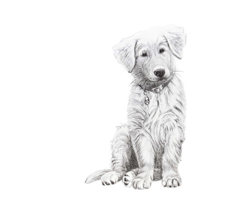 Dog - Baby Golden Retriever - Black and White Nursery Art Print