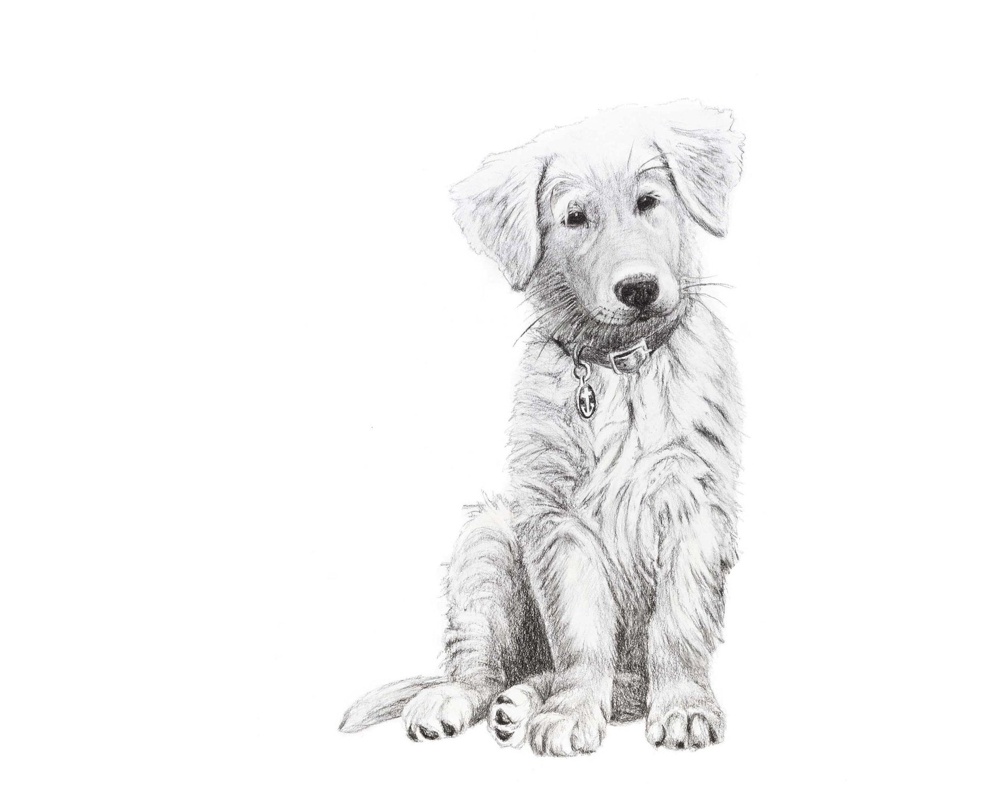 Dog - Baby Golden Retriever - Black and White Nursery Art Print