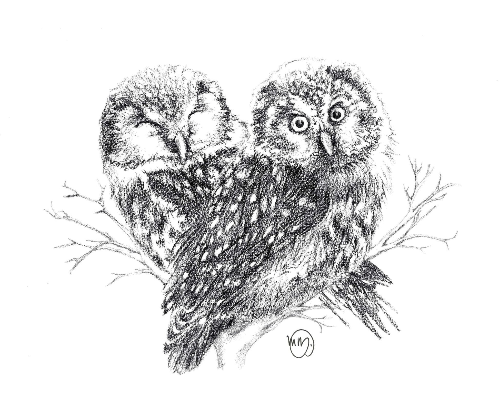 Adorable Owls in love - art print
