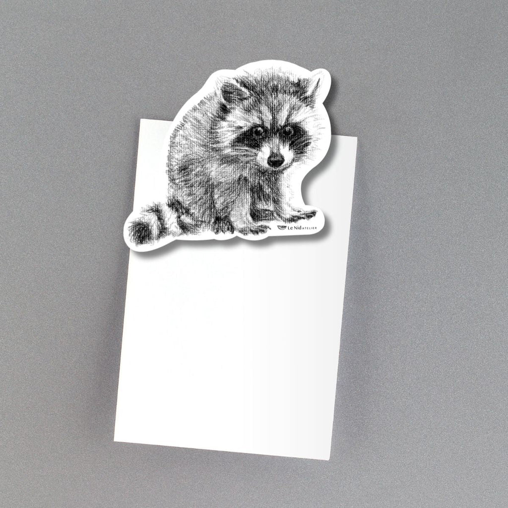 Adorable Raccoon Magnet