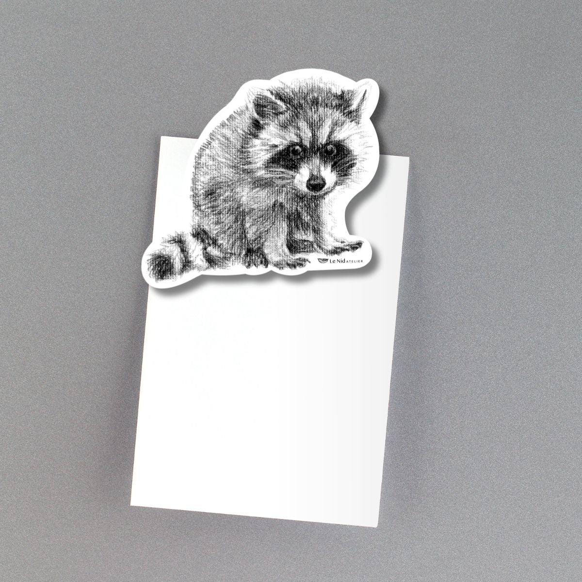 Adorable Raccoon Magnet