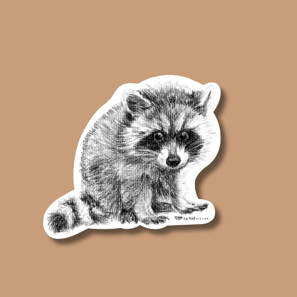 Adorable Raccoon Magnet