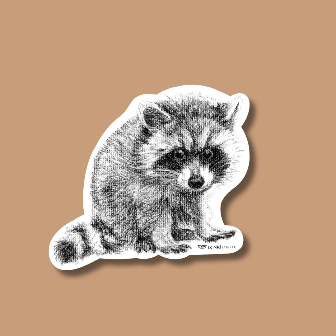 Adorable Raccoon Magnet