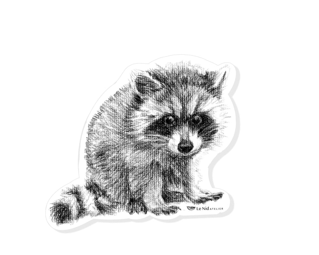Adorable Raccoon Sticker for Water Bottle, Agenda or Computer