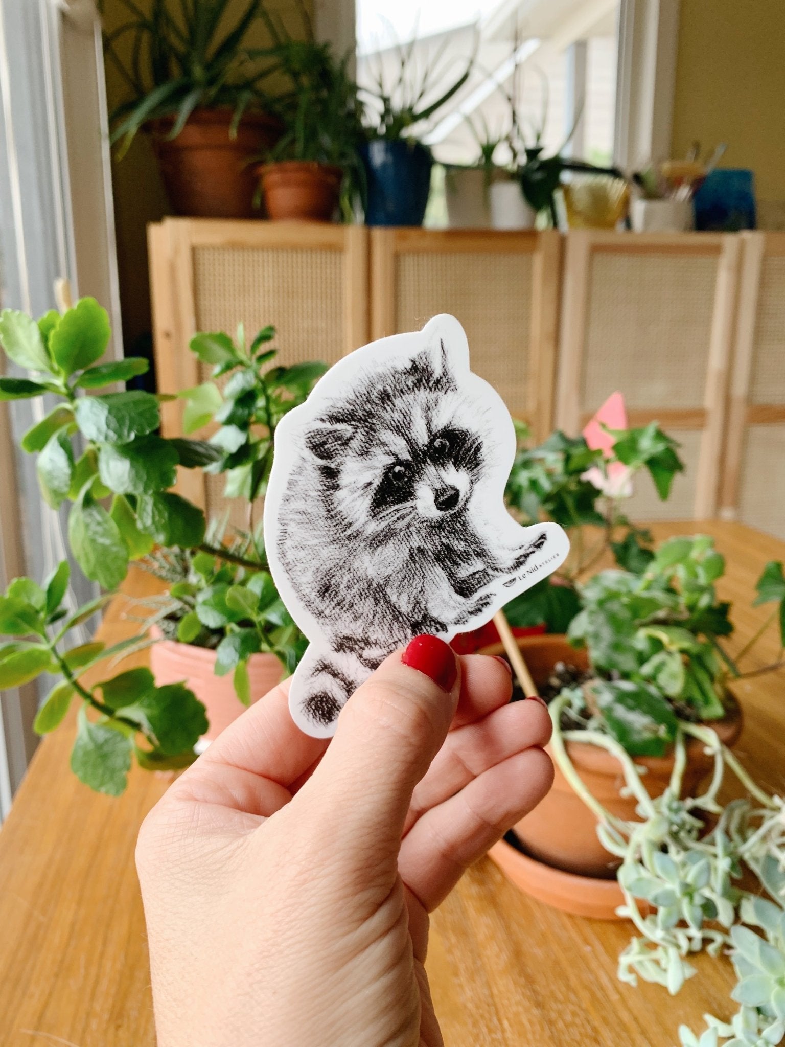 Adorable Raccoon Sticker for Water Bottle, Agenda or Computer