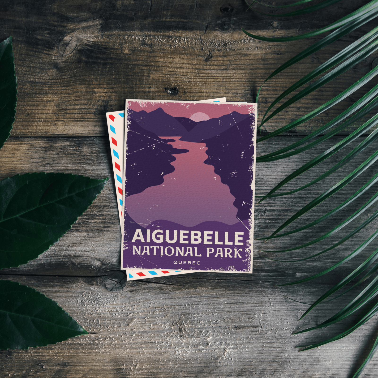 Aiguebelle Quebec National Park Postcard