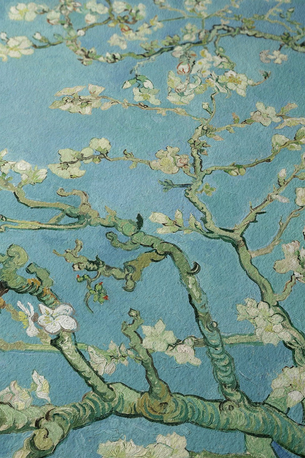 Reproduction d'art « Amandiers en fleurs » de Van Gogh : Impression giclée d'art, option encadrée