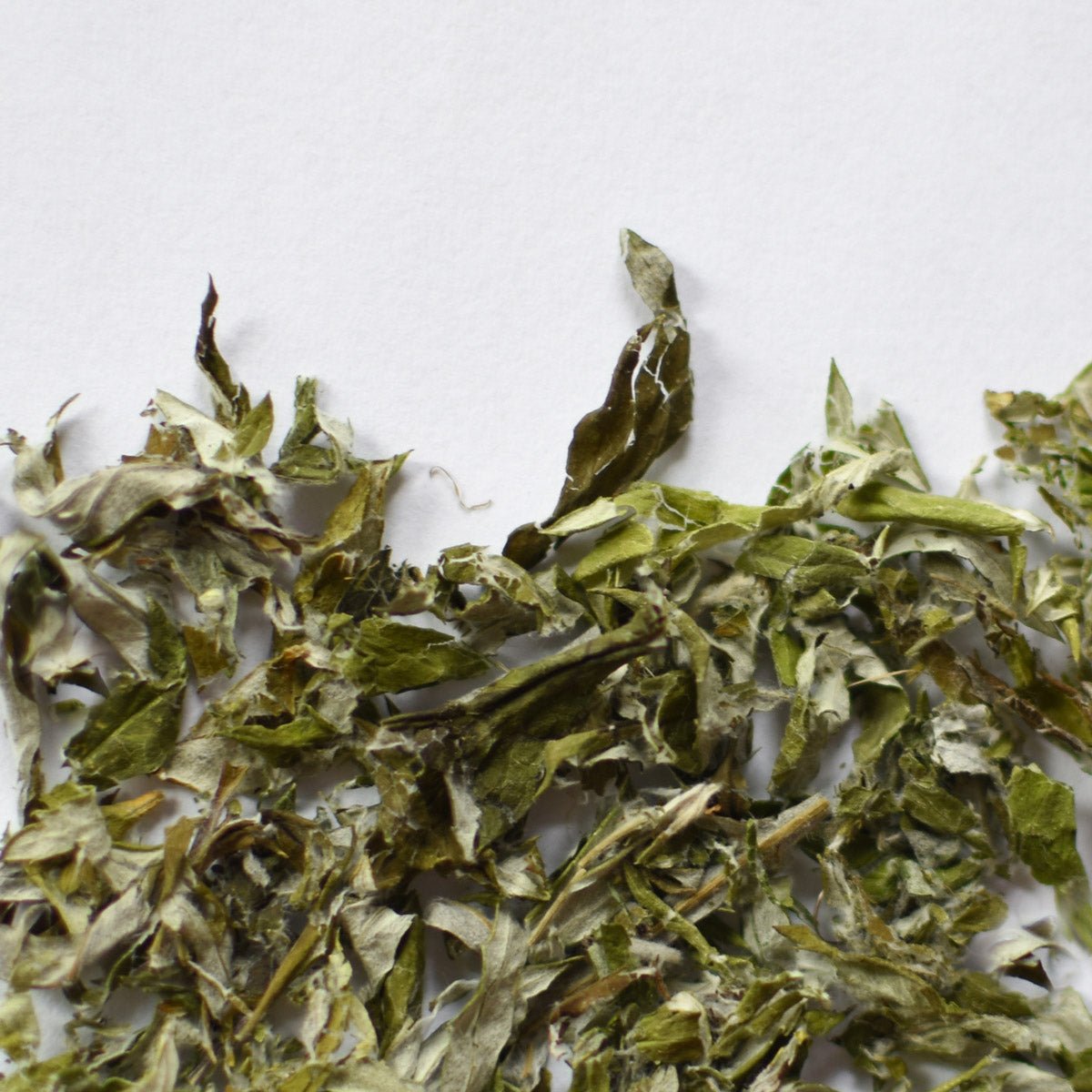 Mugwort