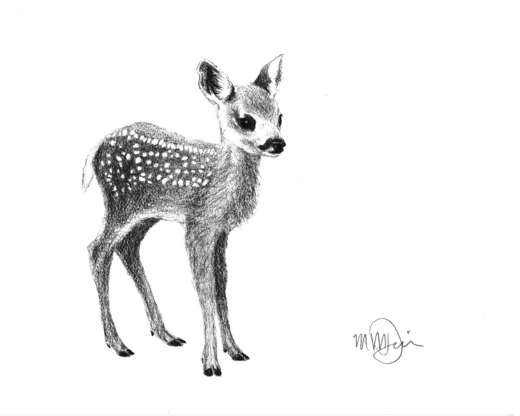 Baby Deer Greeting Card