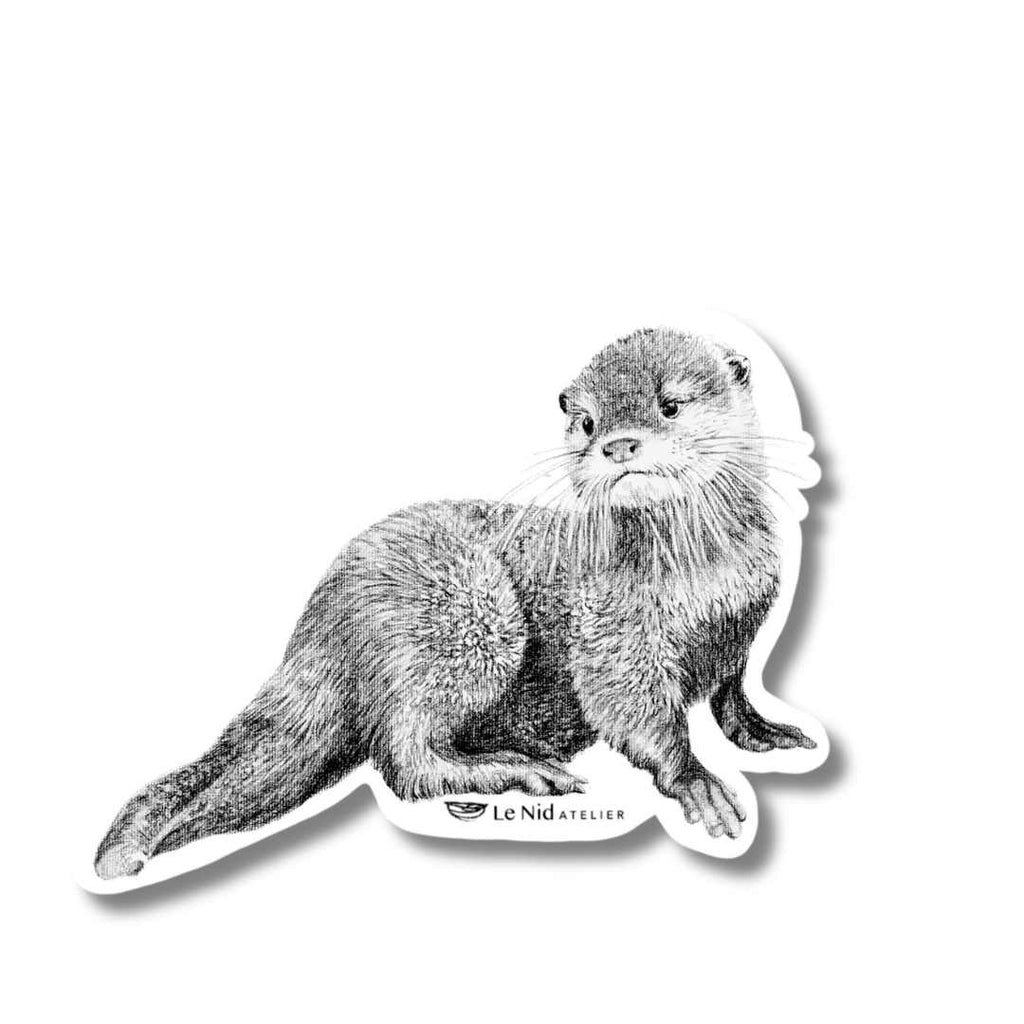 Baby Otter  Magnet