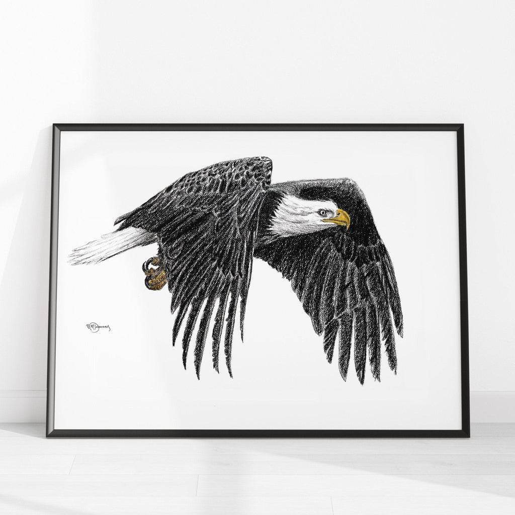 Bald Eagle - Animal Art Print