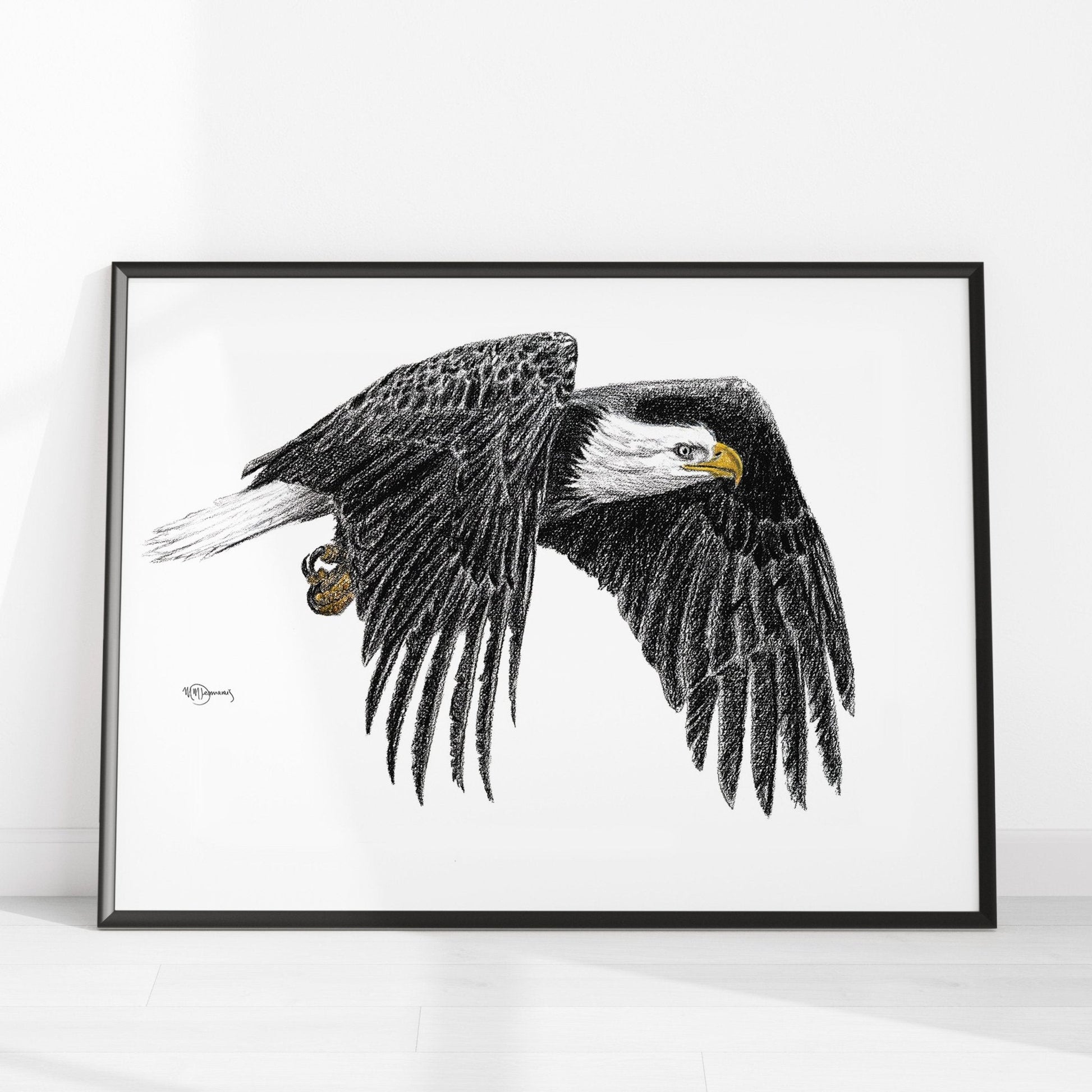 Bald Eagle - Animal Art Print