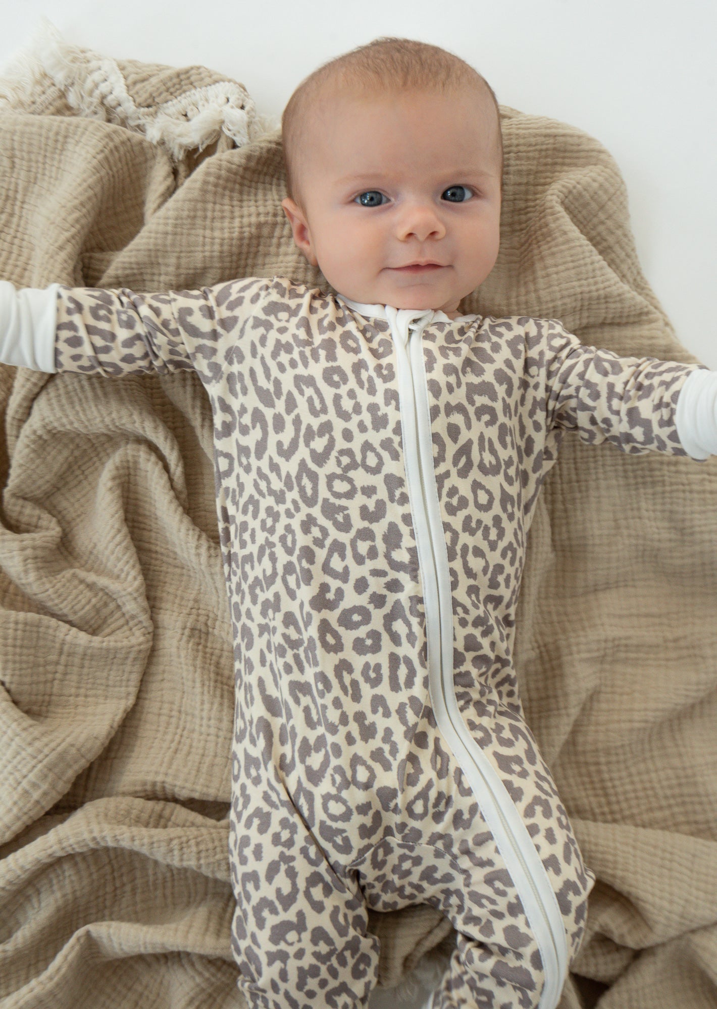 Apricot Leopard