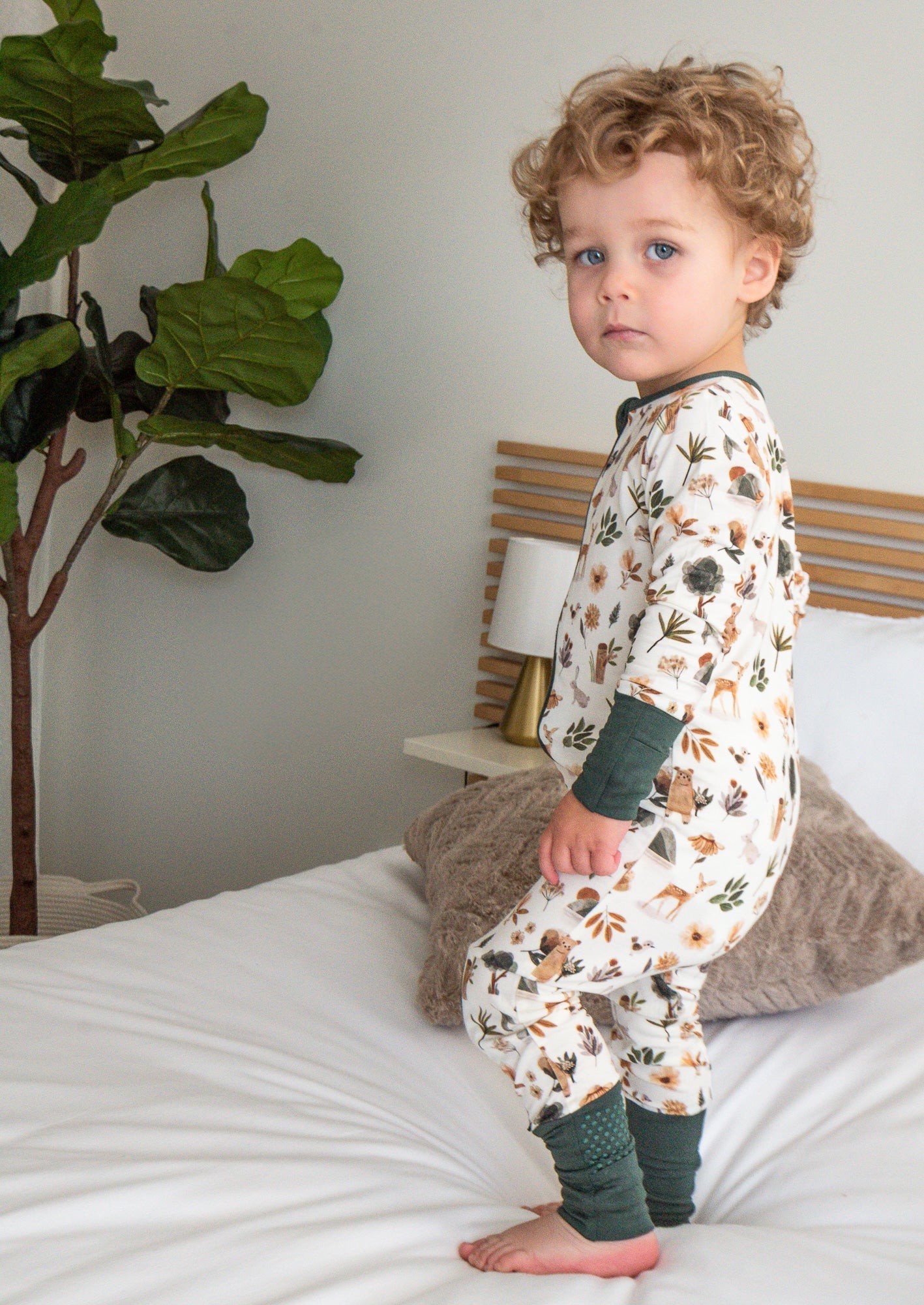 Forêt verte des bois