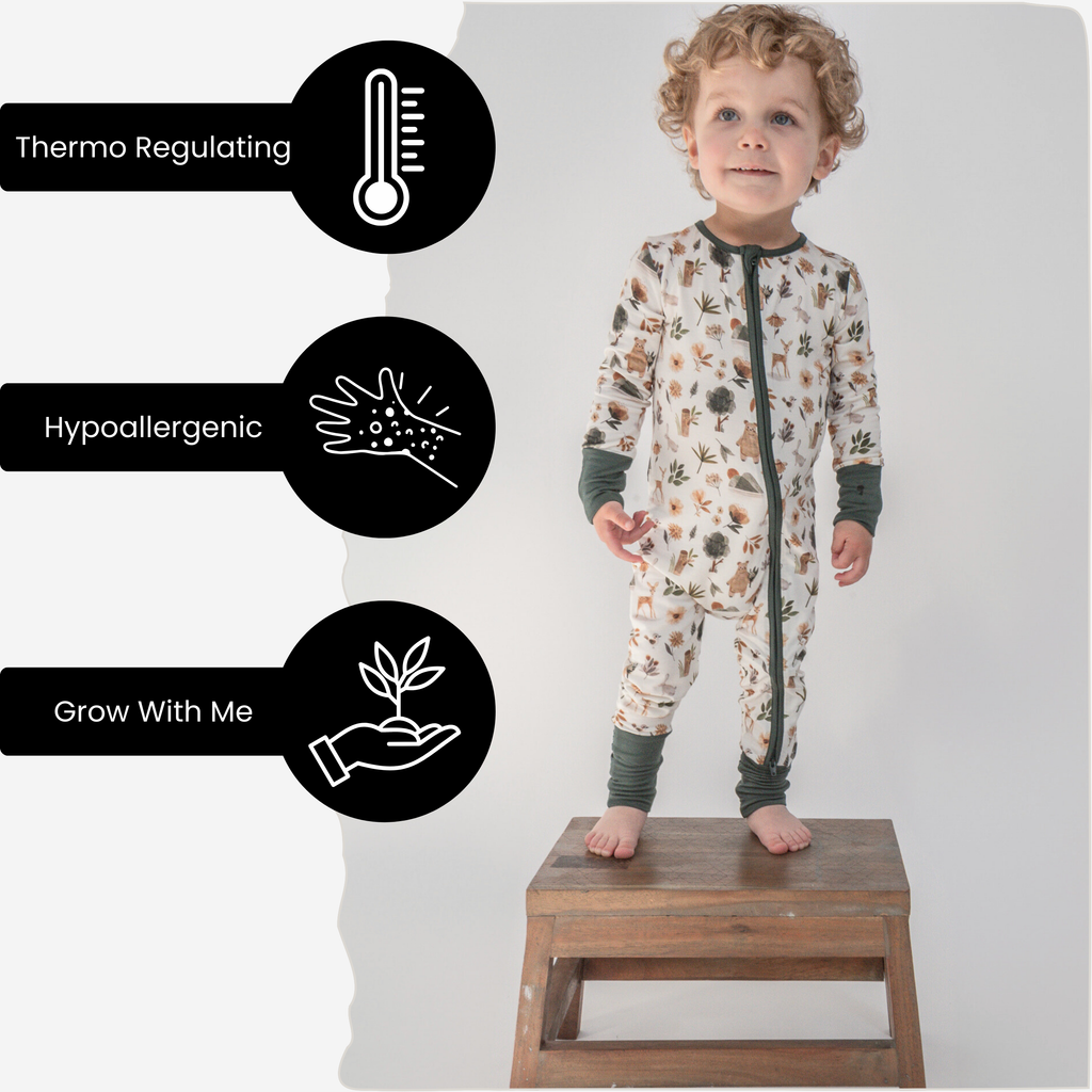 Forêt verte des bois